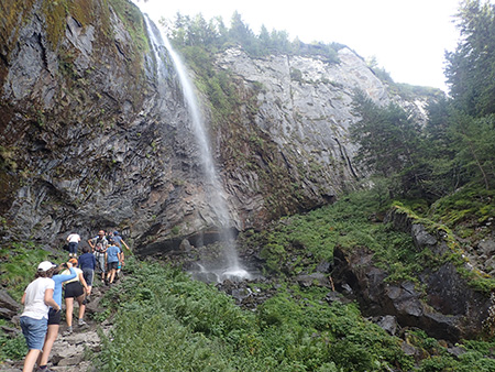 cascade